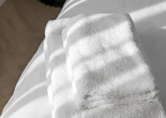 公寓 Karoso Rezidencija *